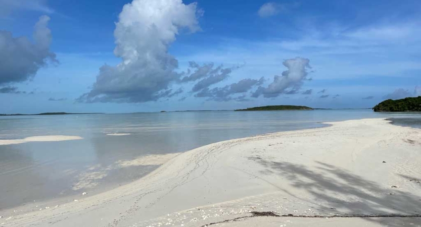 The white sand of a beach stretches out under blue skies and beside clear water